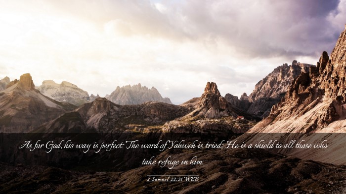 Picture 03 - 2 Samuel 22:31 WEB Desktop Wallpaper - As for God, his way is perfect: The word of - Desktop Bible Verse Wallpaper