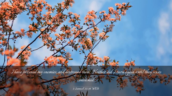 Picture 03 - 2 Samuel 22:38 WEB Desktop Wallpaper - I have pursued my enemies, and destroyed them; - Desktop Bible Verse Wallpaper