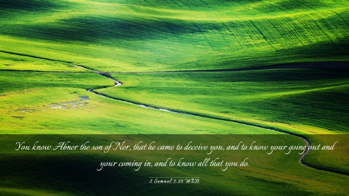 Picture 03 - 2 Samuel 3:25 WEB Desktop Wallpaper - You know Abner the son of Ner, that he came to - Desktop Bible Verse Wallpaper