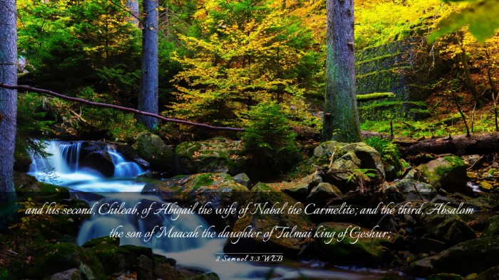 Picture 03 - 2 Samuel 3:3 WEB Desktop Wallpaper - and his second, Chileab, of Abigail the wife of - Desktop Bible Verse Wallpaper