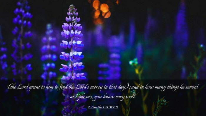 Picture 03 - 2 Timothy 1:18 WEB Desktop Wallpaper - (the Lord grant to him to find the Lord's mercy - Desktop Bible Verse Wallpaper