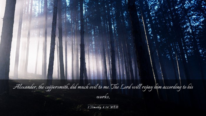 Picture 03 - 2 Timothy 4:14 WEB Desktop Wallpaper - Alexander, the coppersmith, did much evil to me. - Desktop Bible Verse Wallpaper
