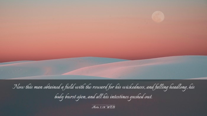 Picture 03 - Acts 1:18 WEB Desktop Wallpaper - Now this man obtained a field with the reward for - Desktop Bible Verse Wallpaper