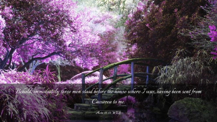 Picture 03 - Acts 11:11 WEB Desktop Wallpaper - Behold, immediately three men stood before the - Desktop Bible Verse Wallpaper