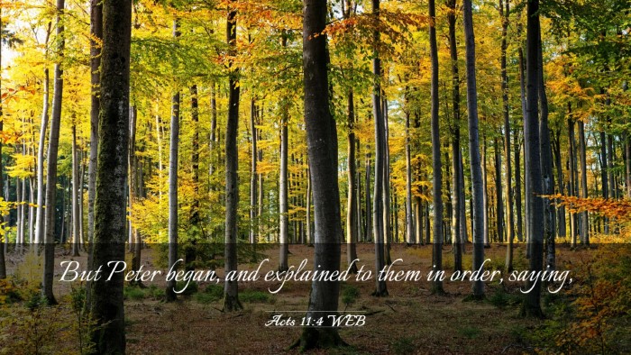 Picture 03 - Acts 11:4 WEB Desktop Wallpaper - But Peter began, and explained to them in order, - Desktop Bible Verse Wallpaper