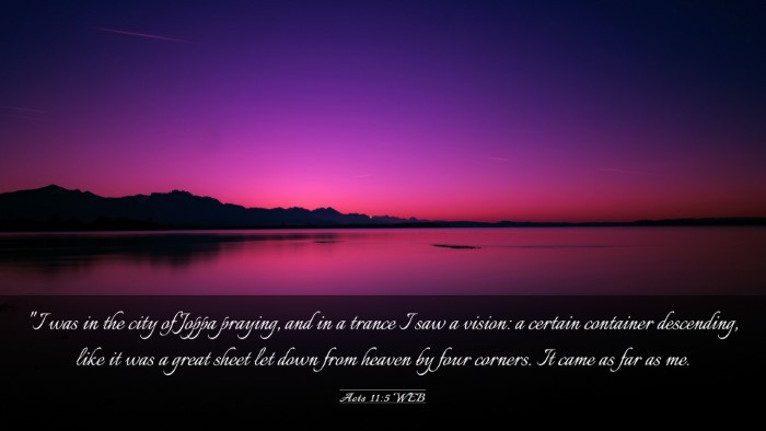Picture 03 - Acts 11:5 WEB Desktop Wallpaper - 