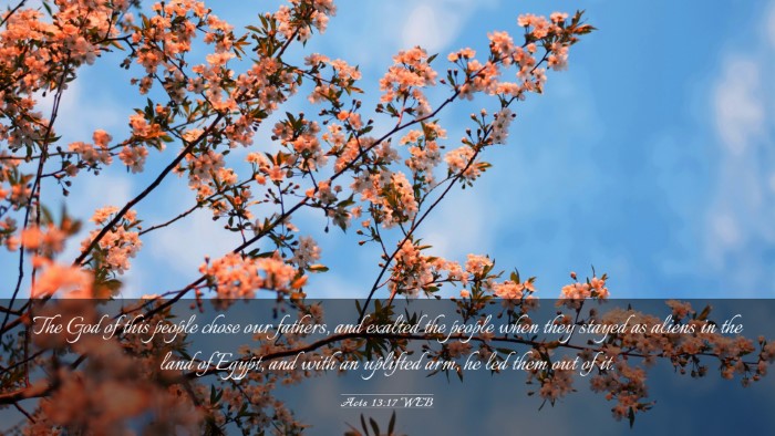 Picture 03 - Acts 13:17 WEB Desktop Wallpaper - The God of this people chose our fathers, and - Desktop Bible Verse Wallpaper