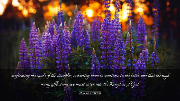 Picture 03 - Acts 14:22 WEB Desktop Wallpaper - confirming the souls of the disciples, exhorting - Desktop Bible Verse Wallpaper