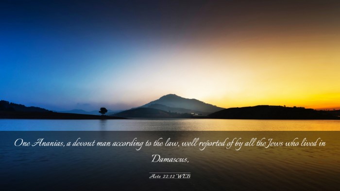 Picture 03 - Acts 22:12 WEB Desktop Wallpaper - One Ananias, a devout man according to the law, - Desktop Bible Verse Wallpaper