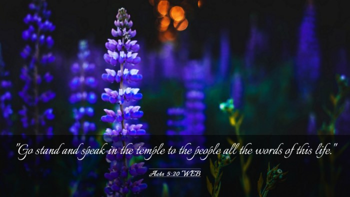 Picture 03 - Acts 5:20 WEB Desktop Wallpaper - 