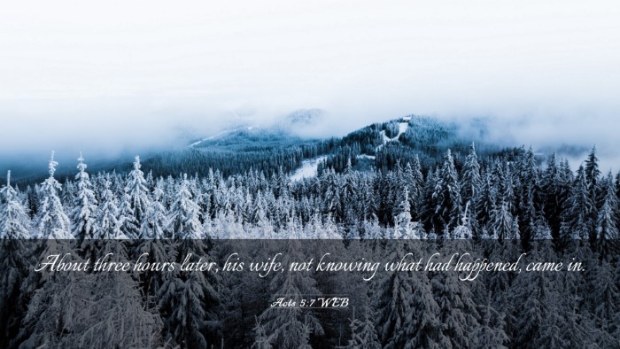 Picture 03 - Acts 5:7 WEB Desktop Wallpaper - About three hours later, his wife, not knowing - Desktop Bible Verse Wallpaper
