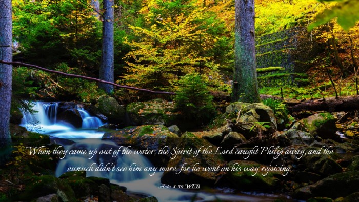 Picture 03 - Acts 8:39 WEB Desktop Wallpaper - When they came up out of the water, the Spirit of - Desktop Bible Verse Wallpaper
