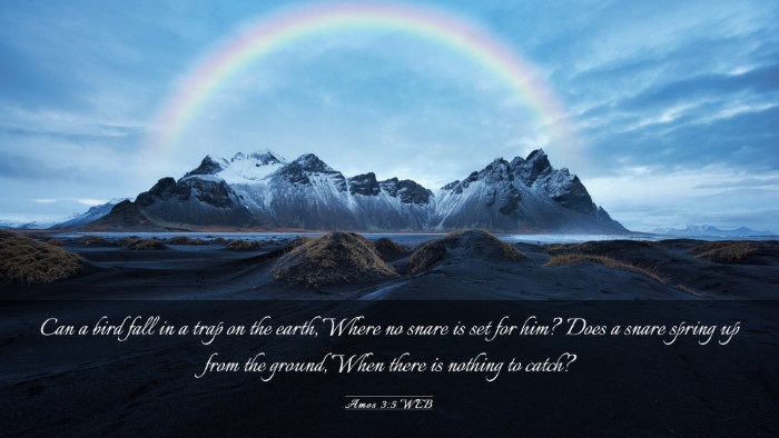 Picture 03 - Amos 3:5 WEB Desktop Wallpaper - Can a bird fall in a trap on the earth, Where no - Desktop Bible Verse Wallpaper