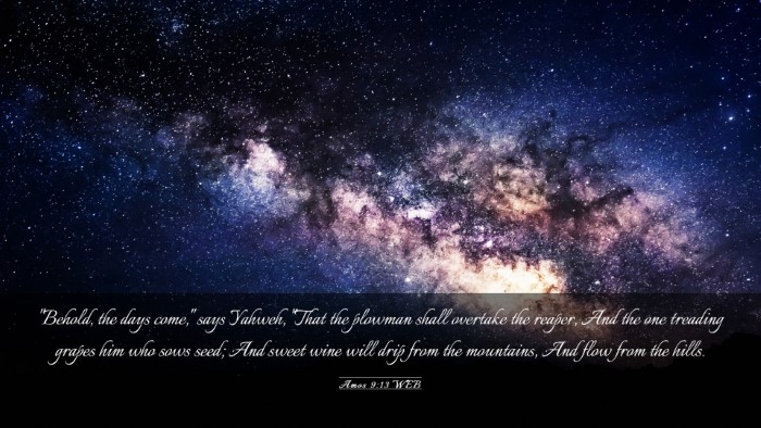 Picture 03 - Amos 9:13 WEB Desktop Wallpaper - 
