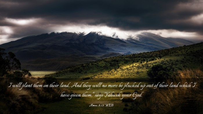 Picture 03 - Amos 9:15 WEB Desktop Wallpaper - I will plant them on their land, And they will no - Desktop Bible Verse Wallpaper