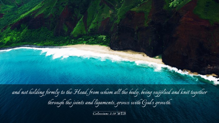 Picture 03 - Colossians 2:19 WEB Desktop Wallpaper - and not holding firmly to the Head, from whom all - Desktop Bible Verse Wallpaper