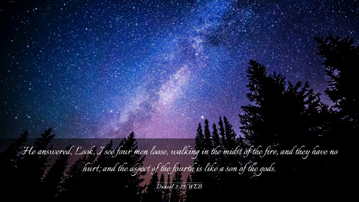 Picture 03 - Daniel 3:25 WEB Desktop Wallpaper - He answered, Look, I see four men loose, walking - Desktop Bible Verse Wallpaper