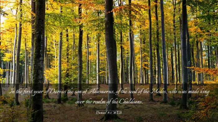 Picture 03 - Daniel 9:1 WEB Desktop Wallpaper - In the first year of Darius the son of Ahasuerus, - Desktop Bible Verse Wallpaper