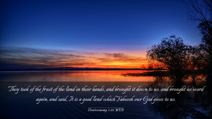 Picture 03 - Deuteronomy 1:25 WEB Desktop Wallpaper - They took of the fruit of the land in their - Desktop Bible Verse Wallpaper