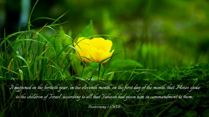 Picture 03 - Deuteronomy 1:3 WEB Desktop Wallpaper - It happened in the fortieth year, in the eleventh - Desktop Bible Verse Wallpaper