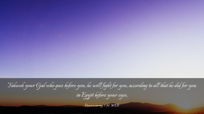 Picture 03 - Deuteronomy 1:30 WEB Desktop Wallpaper - Yahweh your God who goes before you, he will - Desktop Bible Verse Wallpaper