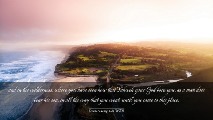 Picture 03 - Deuteronomy 1:31 WEB Desktop Wallpaper - and in the wilderness, where you have seen how - Desktop Bible Verse Wallpaper