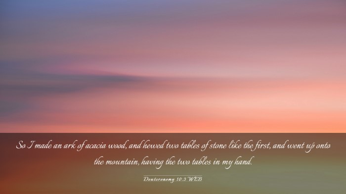 Picture 03 - Deuteronomy 10:3 WEB Desktop Wallpaper - So I made an ark of acacia wood, and hewed two - Desktop Bible Verse Wallpaper