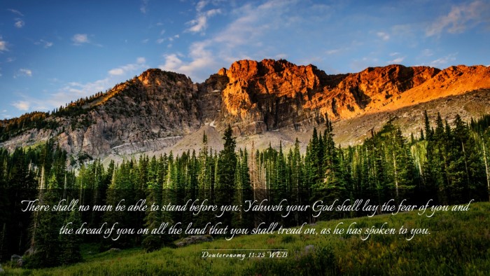 Picture 03 - Deuteronomy 11:25 WEB Desktop Wallpaper - There shall no man be able to stand before you: - Desktop Bible Verse Wallpaper