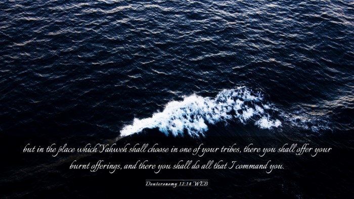 Picture 03 - Deuteronomy 12:14 WEB Desktop Wallpaper - but in the place which Yahweh shall choose in one - Desktop Bible Verse Wallpaper