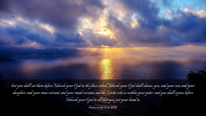 Picture 03 - Deuteronomy 12:18 WEB Desktop Wallpaper - but you shall eat them before Yahweh your God in - Desktop Bible Verse Wallpaper