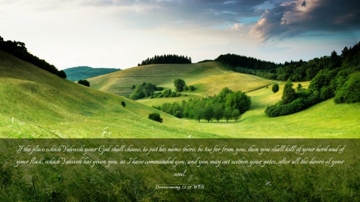 Picture 03 - Deuteronomy 12:21 WEB Desktop Wallpaper - If the place which Yahweh your God shall choose, - Desktop Bible Verse Wallpaper