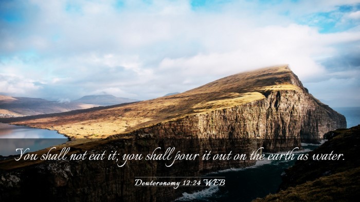 Picture 03 - Deuteronomy 12:24 WEB Desktop Wallpaper - You shall not eat it; you shall pour it out on - Desktop Bible Verse Wallpaper