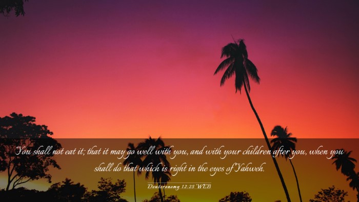 Picture 03 - Deuteronomy 12:25 WEB Desktop Wallpaper - You shall not eat it; that it may go well with - Desktop Bible Verse Wallpaper