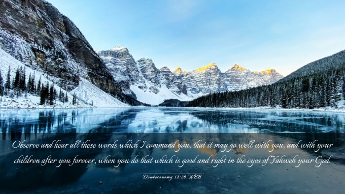 Picture 03 - Deuteronomy 12:28 WEB Desktop Wallpaper - Observe and hear all these words which I command - Desktop Bible Verse Wallpaper
