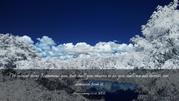 Picture 03 - Deuteronomy 12:32 WEB Desktop Wallpaper - Whatever thing I command you, that shall you - Desktop Bible Verse Wallpaper