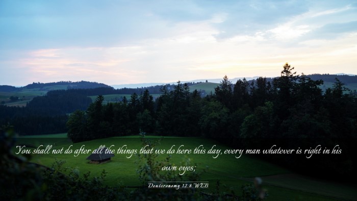 Picture 03 - Deuteronomy 12:8 WEB Desktop Wallpaper - You shall not do after all the things that we do - Desktop Bible Verse Wallpaper
