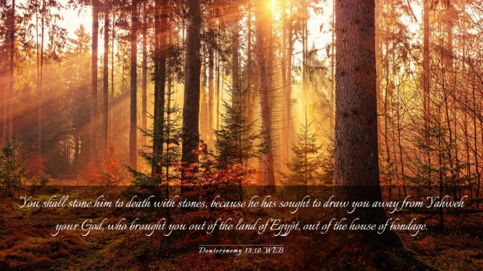 Picture 03 - Deuteronomy 13:10 WEB Desktop Wallpaper - You shall stone him to death with stones, because - Desktop Bible Verse Wallpaper