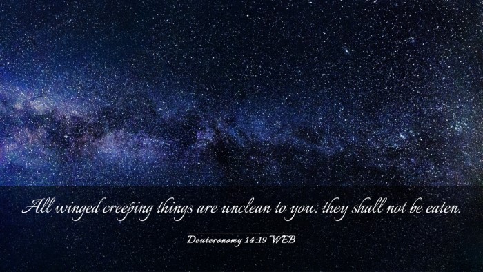 Picture 03 - Deuteronomy 14:19 WEB Desktop Wallpaper - All winged creeping things are unclean to you: - Desktop Bible Verse Wallpaper