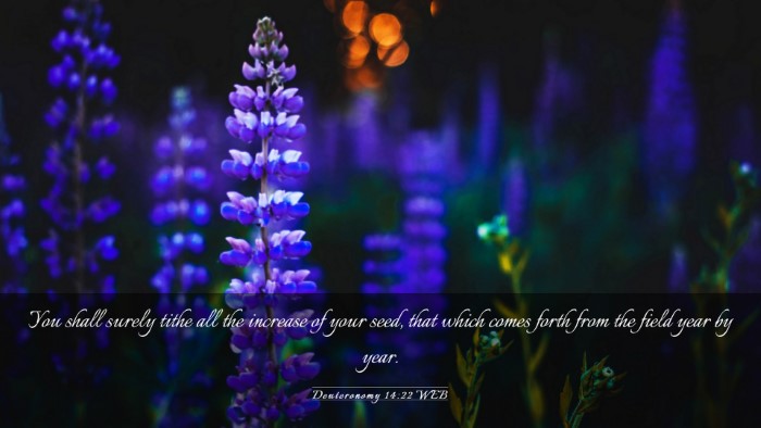 Picture 03 - Deuteronomy 14:22 WEB Desktop Wallpaper - You shall surely tithe all the increase of your - Desktop Bible Verse Wallpaper