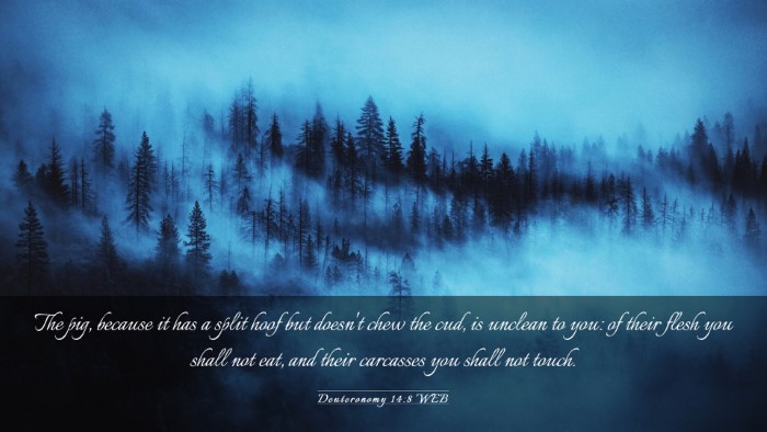 Picture 03 - Deuteronomy 14:8 WEB Desktop Wallpaper - The pig, because it has a split hoof but doesn't - Desktop Bible Verse Wallpaper