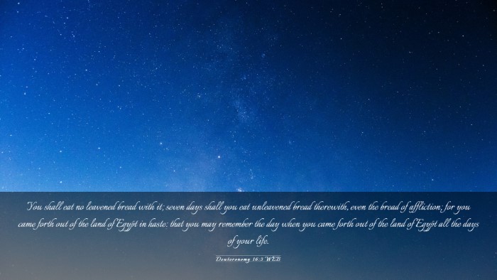 Picture 03 - Deuteronomy 16:3 WEB Desktop Wallpaper - You shall eat no leavened bread with it; seven - Desktop Bible Verse Wallpaper