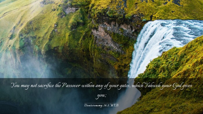 Picture 03 - Deuteronomy 16:5 WEB Desktop Wallpaper - You may not sacrifice the Passover within any of - Desktop Bible Verse Wallpaper