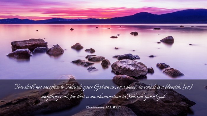Picture 03 - Deuteronomy 17:1 WEB Desktop Wallpaper - You shall not sacrifice to Yahweh your God an ox, - Desktop Bible Verse Wallpaper