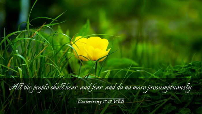 Picture 03 - Deuteronomy 17:13 WEB Desktop Wallpaper - All the people shall hear, and fear, and do no - Desktop Bible Verse Wallpaper