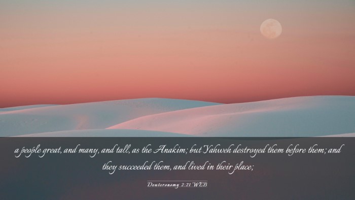 Picture 03 - Deuteronomy 2:21 WEB Desktop Wallpaper - a people great, and many, and tall, as the - Desktop Bible Verse Wallpaper