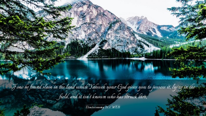 Picture 03 - Deuteronomy 21:1 WEB Desktop Wallpaper - If one be found slain in the land which Yahweh - Desktop Bible Verse Wallpaper