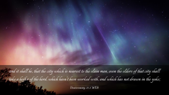 Picture 03 - Deuteronomy 21:3 WEB Desktop Wallpaper - and it shall be, that the city which is nearest - Desktop Bible Verse Wallpaper