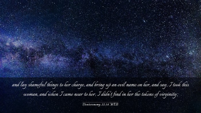 Picture 03 - Deuteronomy 22:14 WEB Desktop Wallpaper - and lay shameful things to her charge, and bring - Desktop Bible Verse Wallpaper