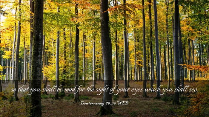 Picture 03 - Deuteronomy 28:34 WEB Desktop Wallpaper - so that you shall be mad for the sight of your - Desktop Bible Verse Wallpaper