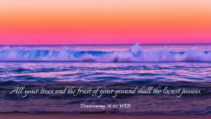 Picture 03 - Deuteronomy 28:42 WEB Desktop Wallpaper - All your trees and the fruit of your ground shall - Desktop Bible Verse Wallpaper